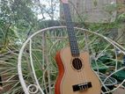 Fender Ukulele