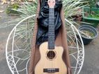 Fender Ukulele