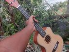 Fender Ukulele