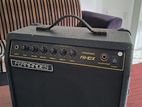 Fernandes Back Amp