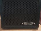 Fernandes Guitar Amp