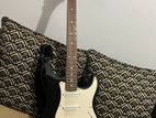 Fernandes Guitar