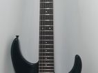 Fernandes Stratocaster HH Electric Guitar