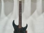 fernandes sustain