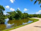 Few Land Blocks- Overlooking Gothatuwa wetland Park, Close to Rajagiriya