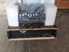 Power Speaker Set