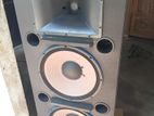 Professional Speaker