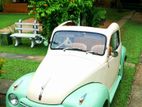 Fiat Topolino 1951