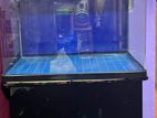 Fiberglass Fish Tank