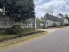 Fibre Coco Peat Factory for Sale in Kuliyapitiya