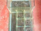 Fish Breeding Tank