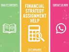 Financial Strategy Module - Assignment Help