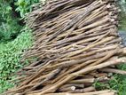 Fire Wood - කුරුඳු දර