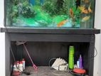 Fish Tank with Fishes