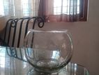 Fish Bowl