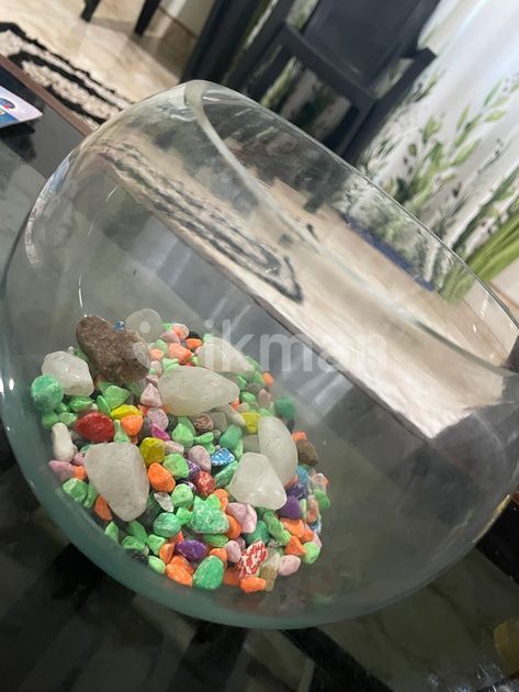Fish Tank for Sale in Pilimatalawa | ikman