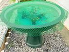 Fish Pond
