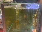 Fish Tank with