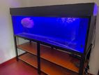Fish Tank 5 Ft