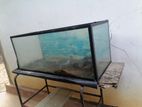 Fish Tank 1 1/4x1 1x4