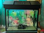 Fish Tank - 2 feet