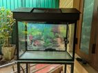Fish Tank 2 Feet
