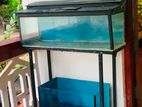 Fish Tanks