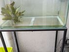 Fish Tank 2*1*1