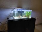 Fish Tank 22*10*10 inch with LED Top Light