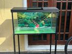 Fish Tank with Oxygen Pump