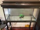 Fish Tank 2.5ft