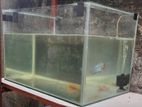 Fish Tank 2×12×18