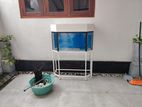 Fish Tank 3 Feet Set