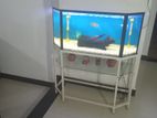 Fish Tank 3 Feet