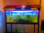 Fish Tank 3 Feet