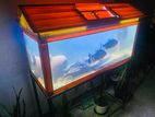 Fish Tank 3 Feet