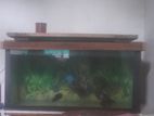 Fish Tank 3 × 1.5× 1.5