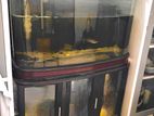 Fish Tank 3.5ft Imported