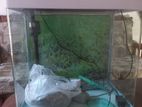Fish Tank 360