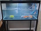 Fish Tank (3ft)