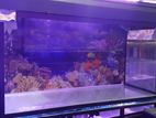 Fish Tank 3ft Full Set