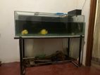 Fish Tank