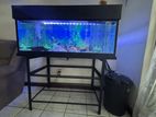 Fish Tank 4 Feet