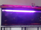 Fish Tank (4 Feet)