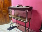 Fish Tank 4 Feet