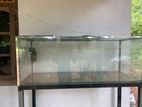 Fish Tank 4 ft