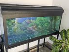 Fish Tank 4feet