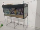 Fish Tank 4 Feet