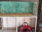 Fish Tank 4 Feet