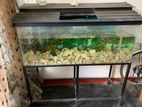 Fish Tank 4feet